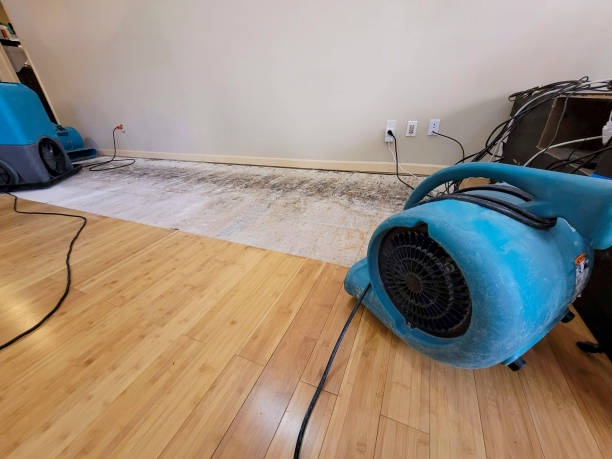 Reliable Basement Flood Cleanup contractor in Clark, MO by Hirex Water Damage