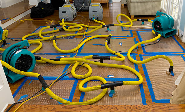 Professional Basement Flood Cleanup technician working in Clark, MO