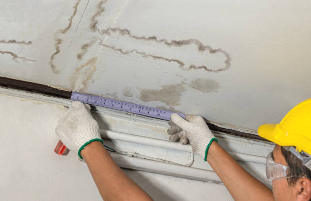 Affordable Water Damage Repair solutions in Clark, MO
